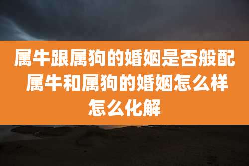 属牛跟属狗的婚姻是否般配 属牛和属狗的婚姻怎么样怎么化解