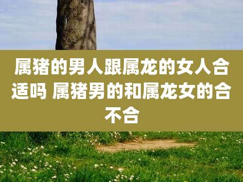 属猪的男人跟属龙的女人合适吗 属猪男的和属龙女的合不合