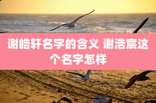 谢皓轩名字的含义 谢浩宸这个名字怎样