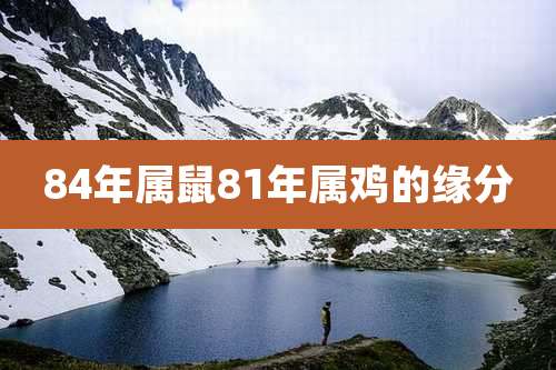 84年属鼠81年属鸡的缘分