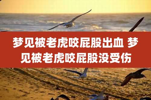 梦见被老虎咬屁股出血 梦见被老虎咬屁股没受伤