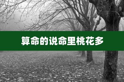 算命的说命里桃花多