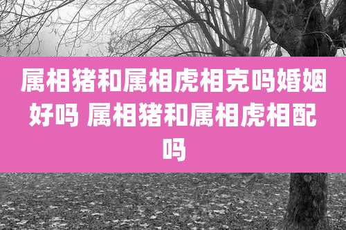 属相猪和属相虎相克吗婚姻好吗 属相猪和属相虎相配吗