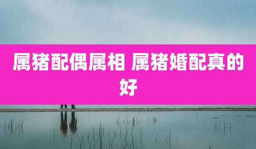 属猪配偶属相 属猪婚配真的好