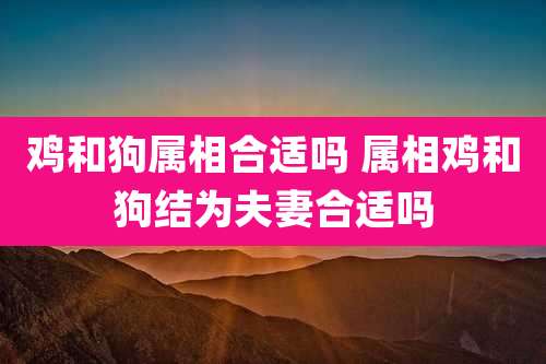 鸡和狗属相合适吗 属相鸡和狗结为夫妻合适吗