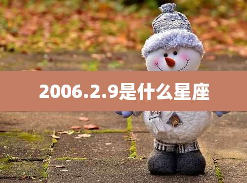 2006.2.9是什么星座