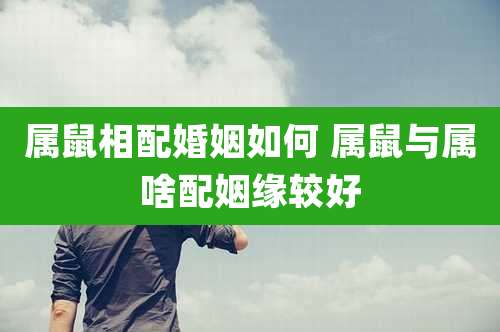 属鼠相配婚姻如何 属鼠与属啥配姻缘较好