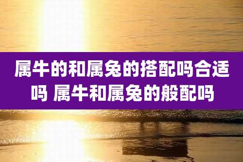 属牛的和属兔的搭配吗合适吗 属牛和属兔的般配吗