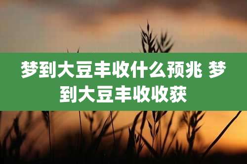 梦到大豆丰收什么预兆 梦到大豆丰收收获