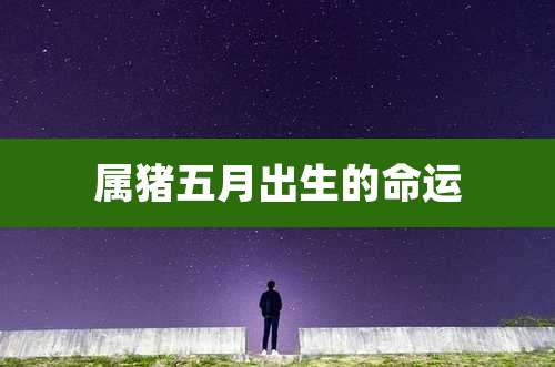 属猪五月出生的命运