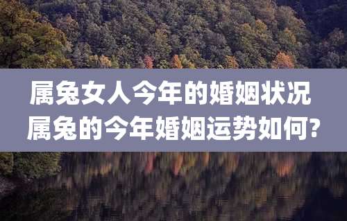 属兔女人今年的婚姻状况 属兔的今年婚姻运势如何?