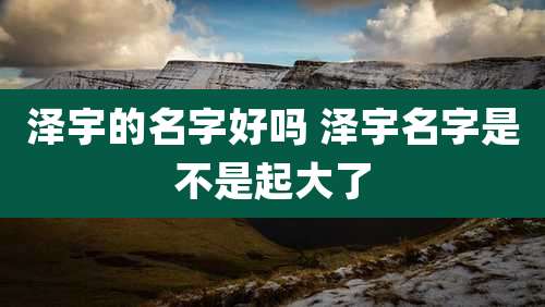 泽宇的名字好吗 泽宇名字是不是起大了