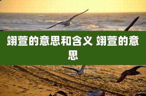 翊萱的意思和含义 翊萱的意思