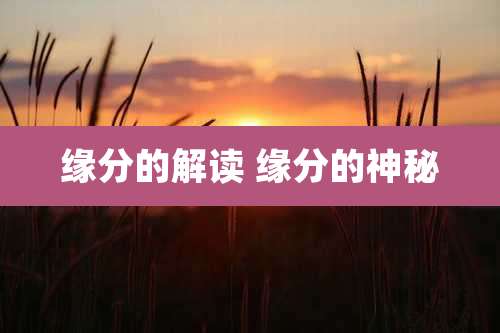 缘分的解读 缘分的神秘