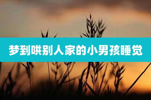 梦到哄别人家的小男孩睡觉