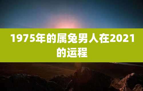 1975年的属兔男人在2021的运程