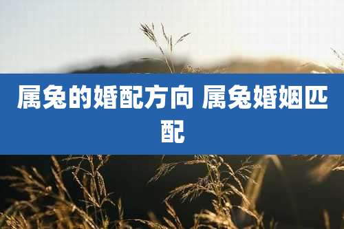 属兔的婚配方向 属兔婚姻匹配