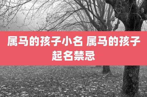 属马的孩子小名 属马的孩子起名禁忌