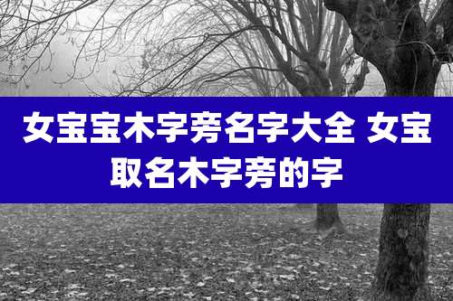 女宝宝木字旁名字大全 女宝取名木字旁的字