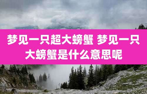 梦见一只超大螃蟹 梦见一只大螃蟹是什么意思呢
