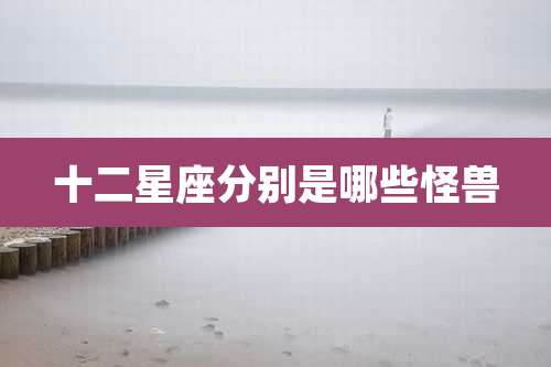 十二星座分别是哪些怪兽