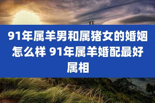 91年属羊男和属猪女的婚姻怎么样 91年属羊婚配最好属相
