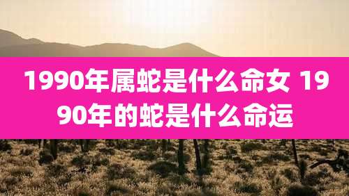 1990年属蛇是什么命女 1990年的蛇是什么命运