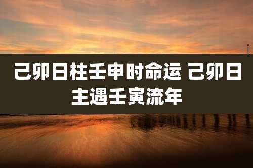 己卯日柱壬申时命运 己卯日主遇壬寅流年
