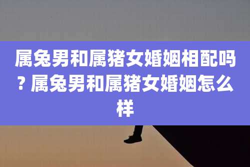 属兔男和属猪女婚姻相配吗? 属兔男和属猪女婚姻怎么样