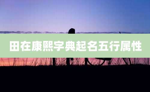 田在康熙字典起名五行属性