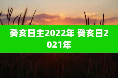 癸亥日主2022年 癸亥日2021年