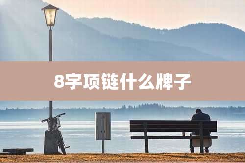 8字项链什么牌子