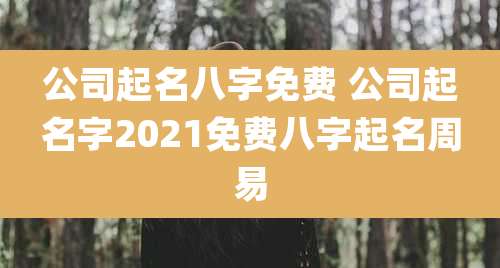 公司起名八字免费 公司起名字2021免费八字起名周易