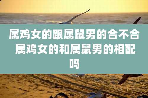 属鸡女的跟属鼠男的合不合 属鸡女的和属鼠男的相配吗