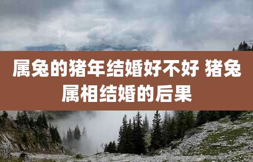 属兔的猪年结婚好不好 猪兔属相结婚的后果