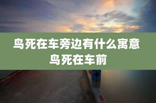鸟死在车旁边有什么寓意 鸟死在车前