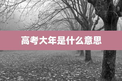 高考大年是什么意思