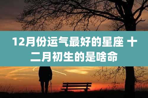 12月份运气最好的星座 十二月初生的是啥命