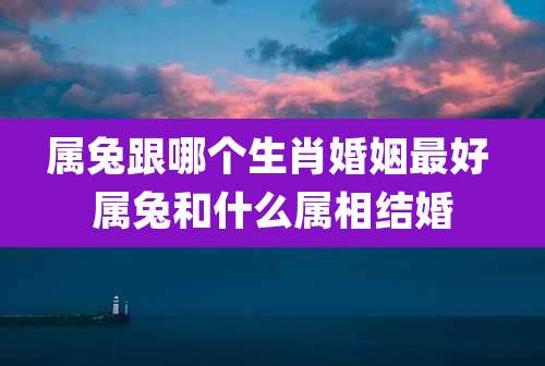 属兔跟哪个生肖婚姻最好 属兔和什么属相结婚