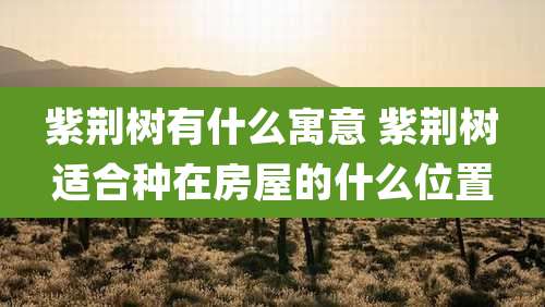 紫荆树有什么寓意 紫荆树适合种在房屋的什么位置