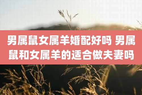 男属鼠女属羊婚配好吗 男属鼠和女属羊的适合做夫妻吗