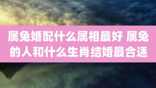 属兔婚配什么属相最好 属兔的人和什么生肖结婚最合适