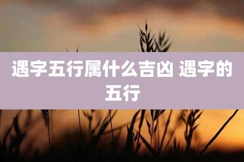 遇字五行属什么吉凶 遇字的五行