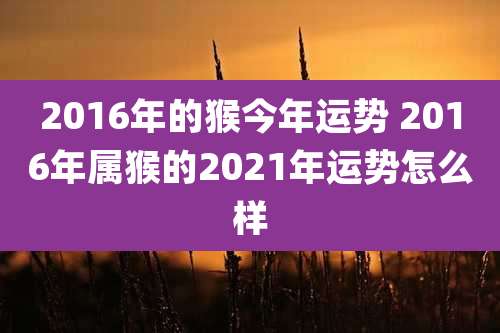 2016年的猴今年运势 2016年属猴的2021年运势怎么样