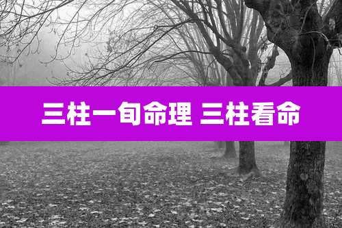 三柱一旬命理 三柱看命