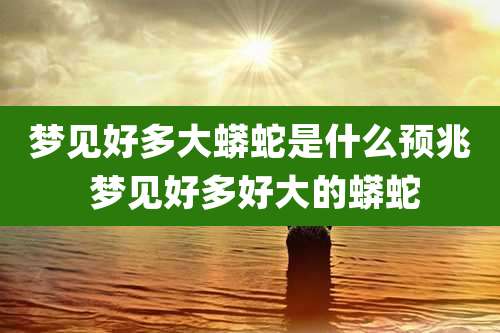 梦见好多大蟒蛇是什么预兆 梦见好多好大的蟒蛇