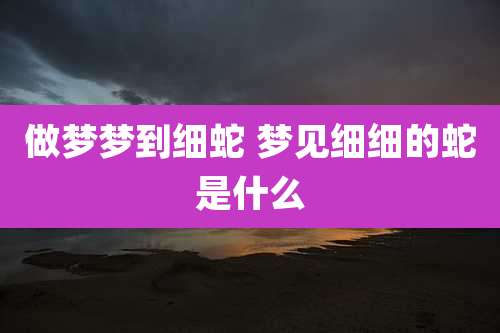 做梦梦到细蛇 梦见细细的蛇是什么