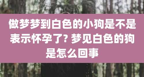 做梦梦到白色的小狗是不是表示怀孕了? 梦见白色的狗是怎么回事