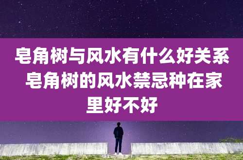 皂角树与风水有什么好关系 皂角树的风水禁忌种在家里好不好