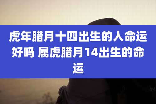 虎年腊月十四出生的人命运好吗 属虎腊月14出生的命运